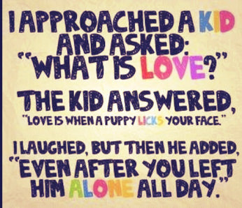Daily Inspirational Quotes
