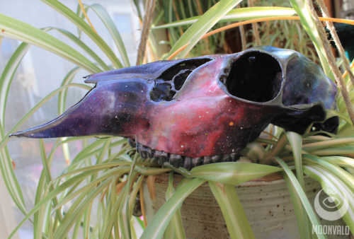moonvald:Another skull! This time, we’ve got a dainty doe in pink, blue and purple with some silver 