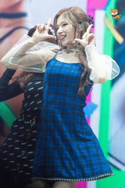 dailysana:  ♡ SANA’S SHIBA | do not edit