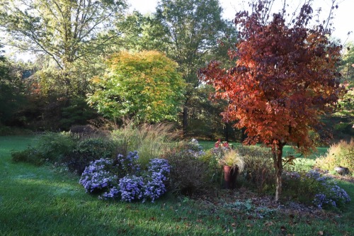 Early frosty morning walk. Just a light frost this time, a warning the season will be closing soon :