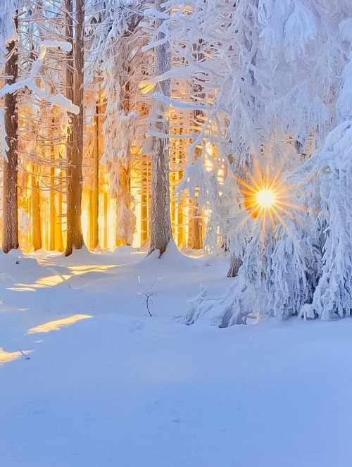 XXX coiour-my-world:winter warmth photo