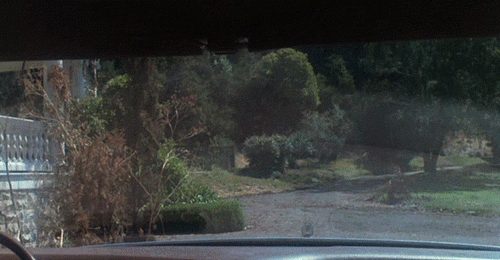 antipahtico:Burnt Offerings (1986)