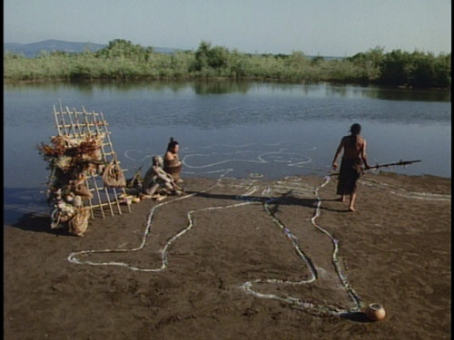 madamebeudet:cabeza de vaca nicolás echevarría (1991)