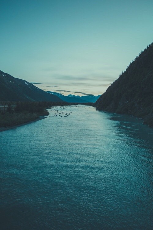 http://allergictoreality.tumblr.com/post/101351577682