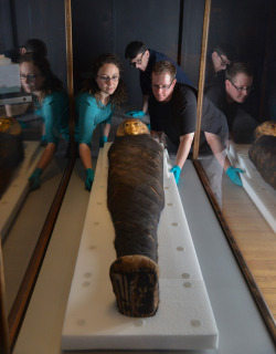amnhnyc:  “Mummy No. 30007, currently residing at the American Museum of Natural History, is a showstopper. She’s known as the Gilded Lady, for good reason: Her coffin, intricately decorated with linen, a golden headdress and facial features, has
