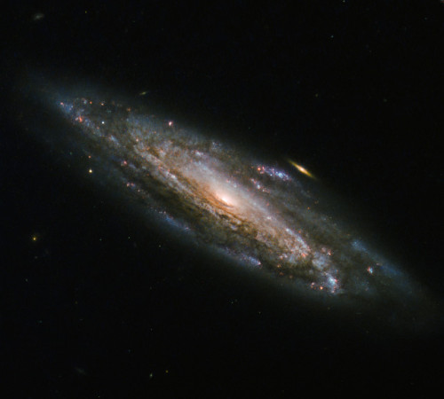 ESA/Hubble &amp; NASA - NGC 5559 a spiral galaxy with spiral arms filled with gas and dust sweeping 