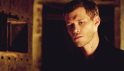 vd-gifs: Damon Salvatore - the klaroline shipper