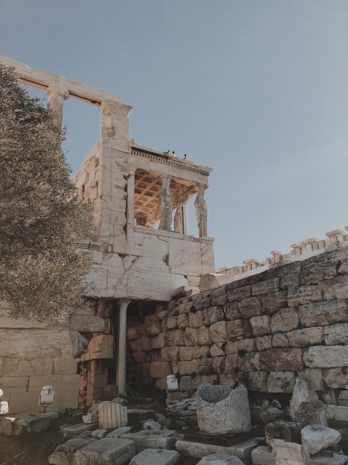 winedark:acropolis of athens, greece.jan 2020.