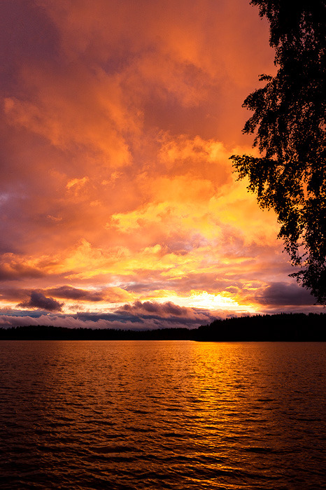 evrthling:  Sunset by *juhku 