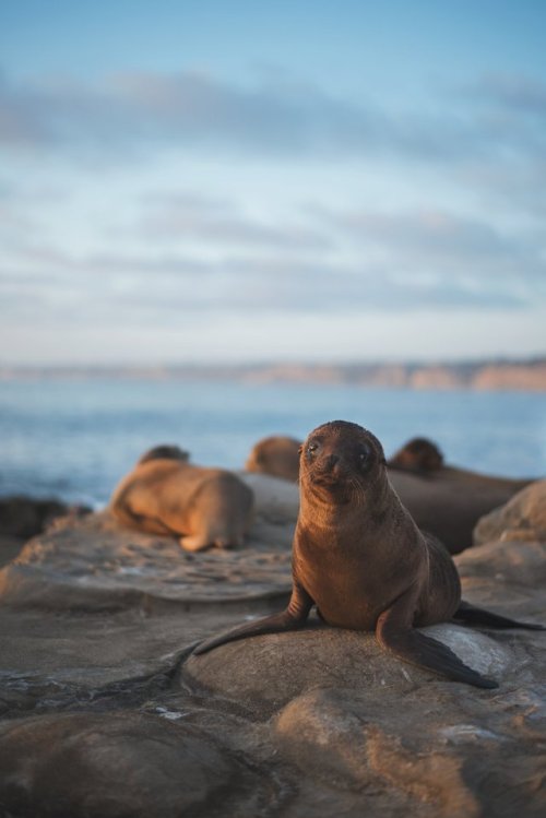 Photos of the Week Series: August 10, 2018 Associate Photo Editor Kristen McNicholas has been responsible for looking at daily uploads so she has the first set of eyes on every image that the Your Shot community shares. She starts each day looking...