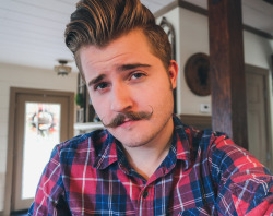 chubbygayandfurry-deactivated20:Felt cute enough to take down an empire 
