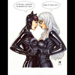 geekarifficone:  #blackcat #catwoman #dc