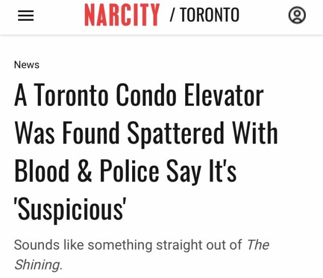 percethecurse:ashestoashesjc:coughloop:im going to be real i am pretty fucking surprised!Toronto