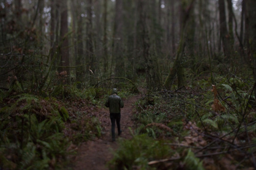 Vashon Island, WashingtonDec. 2015by: philip ericsson