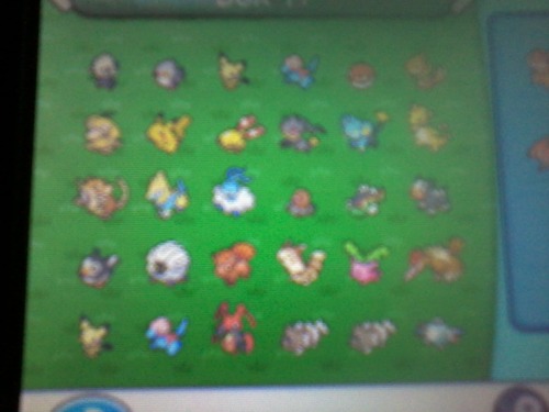 tupac-kun:Alright,to celebrate Pokebank (finally) coming out, I have 61 shinies I don’t w