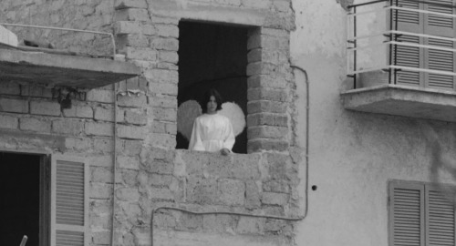 ozu-teapot:Uccellacci e Uccellini (Hawks and Sparrows) | Pier Paolo Pasolini | 1966Rossana Di Rocco