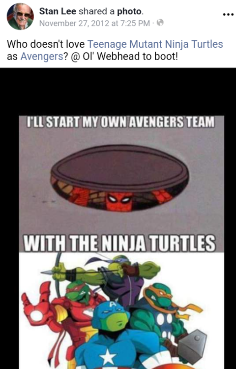 jessie-merrow - We love you Stan Lee And I guess all TMNT FANDOM...