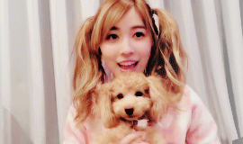 mochichan00:  Two puppies
