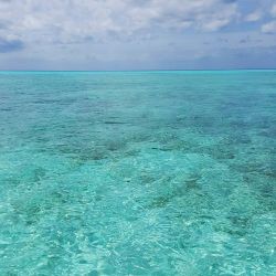 The water today was remarkable&hellip; So vibrant and so rich! Like jello&hellip;.!!! #ocean #aquawater #cozumelmexico by londonandrews