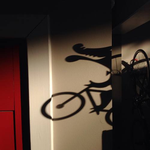 Day 14. The Moots Logo Rides Along The Wall As The Sun Sets. #moots #mootscycles #logo #racepacebicycles