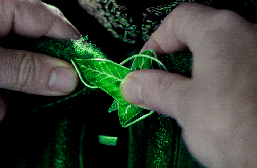       May these cloaks help shield you from unfriendly eyes.  