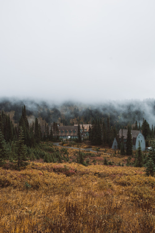 Lodges in the Mist