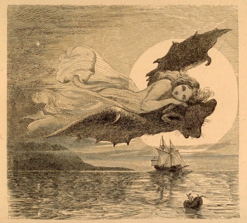 enchantedbook:“Ariel  : on the bat’s back I do fly after Summer, merrily” from William Shakespeare’s