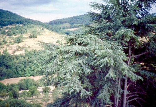 L'Auvergne en fin d'été, 2 vues de notre chambre au Château d'Urbilhac, 1984.  Faded slides bring ba