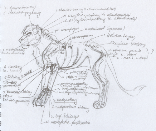 Well, This Is How It Looks Like When You Haven't Drawn Anything For Days And You Have To Learn All The