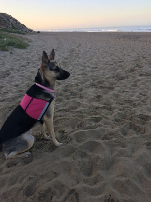 Fun at the beach this morning.