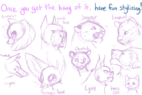 SO YOU WANNA DRAW CATS AND DOGS BUT THOSE PESKY SNOOTS GET IN THE WAY