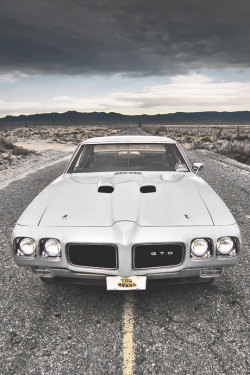 fullthrottleauto:  GTO (by Lunchbox PhotoWorks)