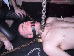 depravpig:  METAL BOUND PIG 