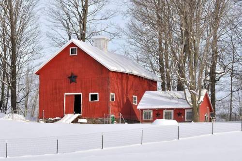 Why Are So Many American Barns Red?If we start at the beginning then we need to talk about star birt