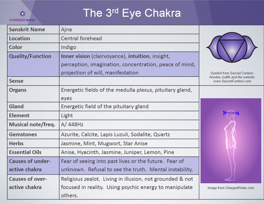 metanoia-world:  Major Chakras   A chakra is an spinning energy center that manages