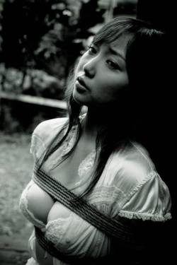 Geisha-Sayuri:  M-Di-Sayuri:  Barrygrussell:  Photo By Saikicks Via Shibari Japan