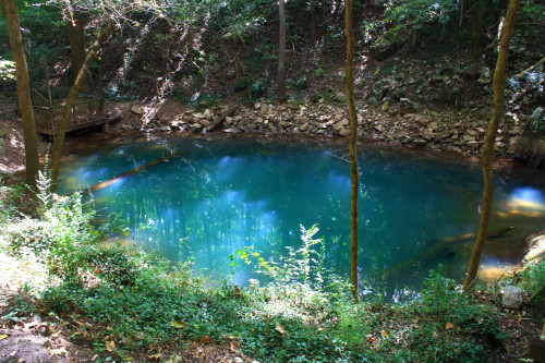 Man-eating Blue Hole There are three blue holes along the trail at the Lost River Cave Valley. This 