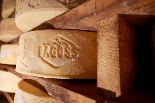 Bagòss, il formaggio tipico di Bagolino 