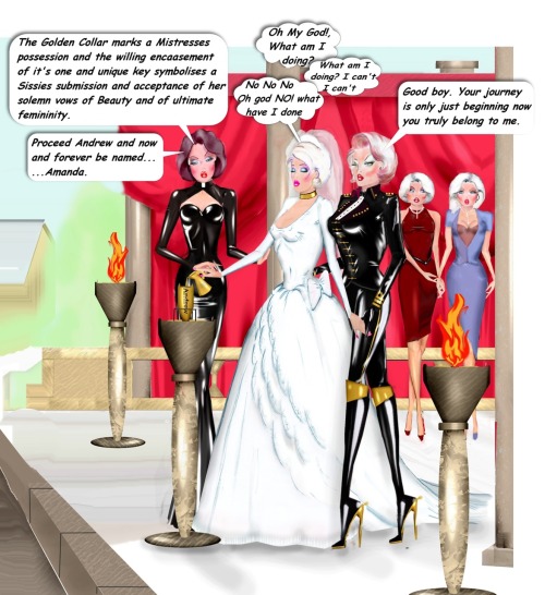 juliadressesuniverse: A sissy wedding is indeed the ceremony in which a sissy is given away: 