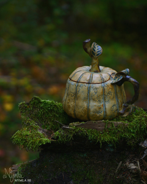  Shop Update! > https://nymla.etsy.com <Little ceramic pumpkins are now looking for a new home