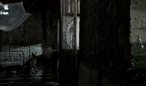 cinemawithoutpeople:Cinema without people: Nostalghia (1983, Andrei Tarkovsky, dir.)