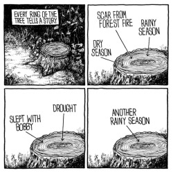 thejakelikesonions:  A story full of intrigue, tinged with regret.