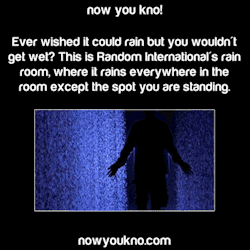 leatherjacketandglasses:  nowyoukno:  Now You Know (Source)  this would what my vision of heaven would be like 