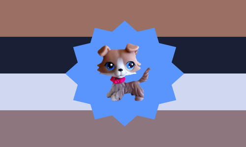 67-Shopic