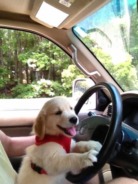 menpale:  Baby drive