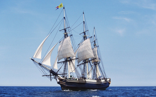 ltwilliammowett:The Friendship of Salem is a replica of a 18th century three masted East Indianman