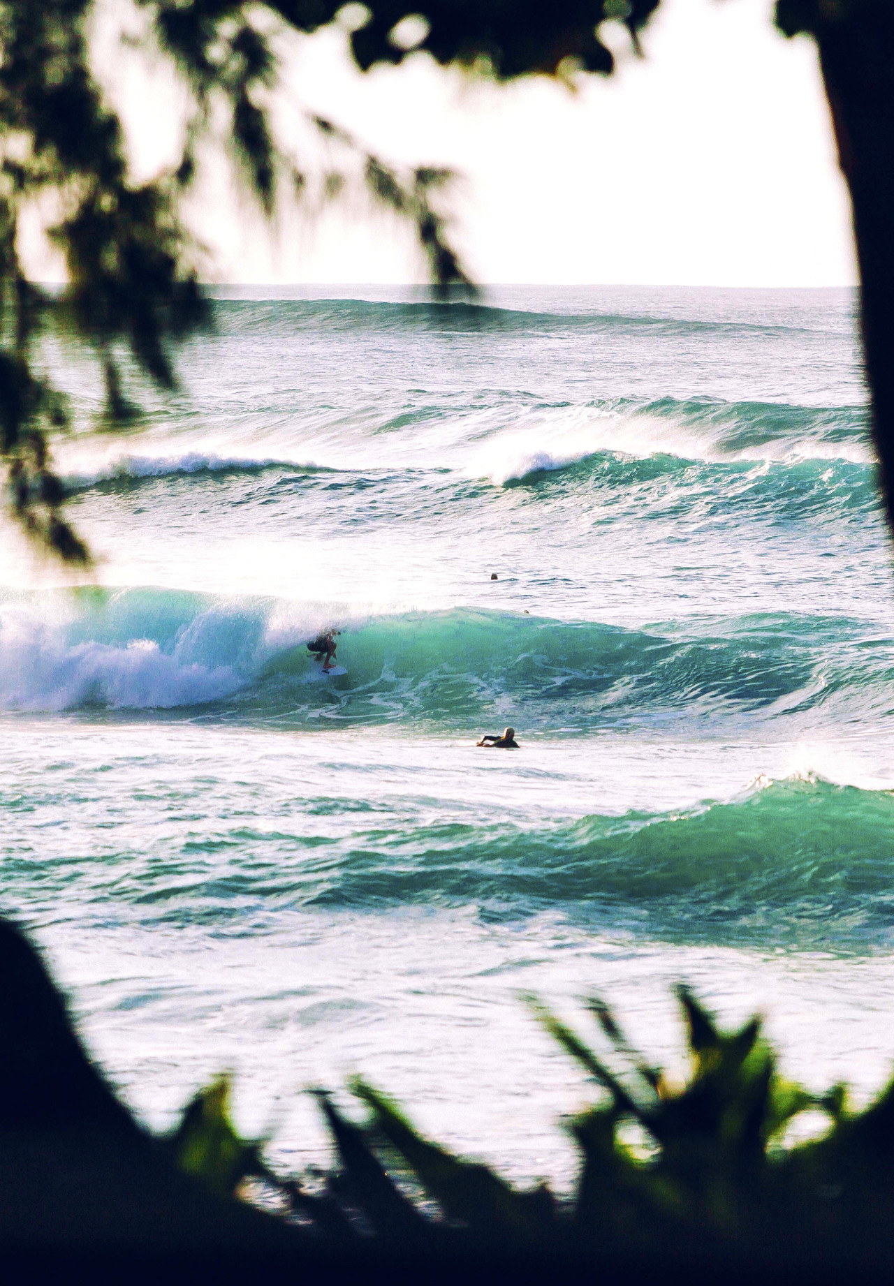 aspworldtour:  Through the trees. Photo | wjameskessel
