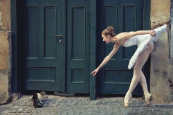 A ballerina's life