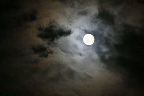 【５２９】十六夜は 超大月が 雲間より 光り輝く 廿八日