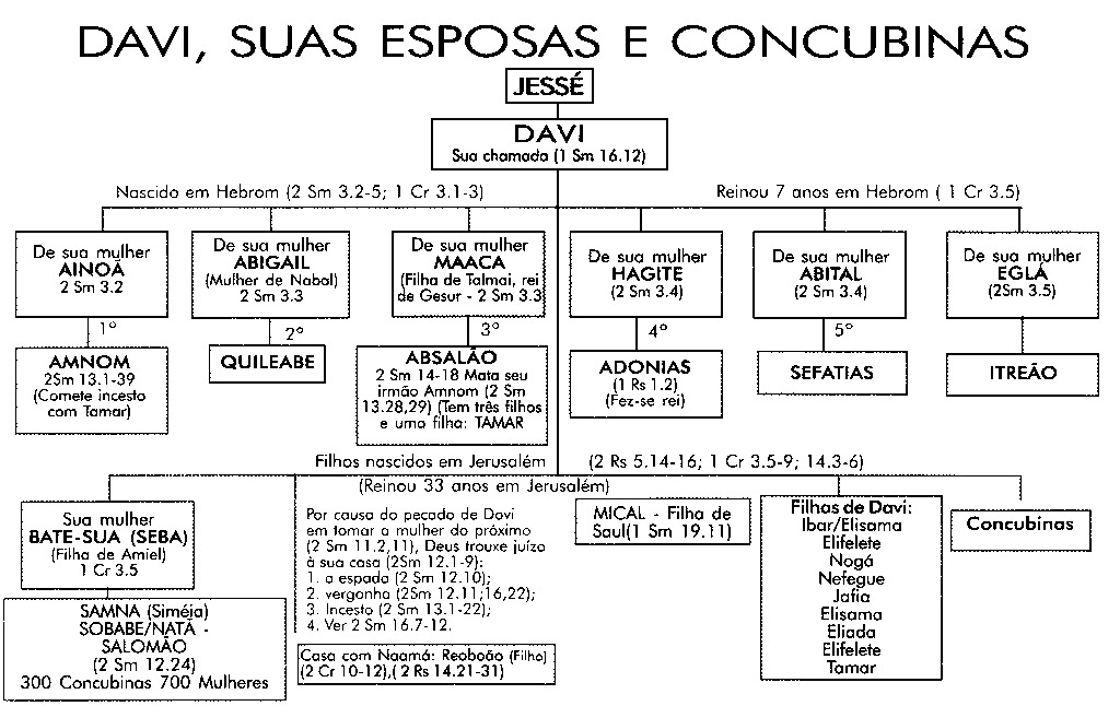 OS SEMEADORES — OS FILHOS DE DAVI COM SUAS ESPOSAS E CONCUBINAS...